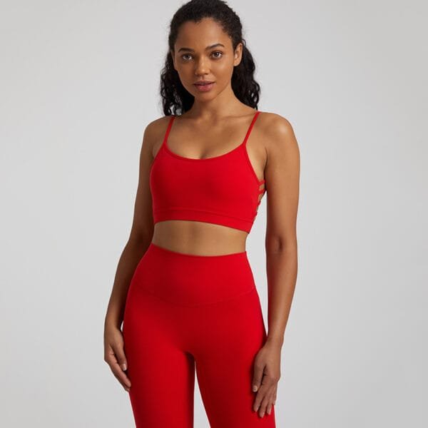 Guangzhou Manufacturing Customized Beautiful Butterfly Back Sexy Yoga Gym Fitness Sports Bra - Image 12
