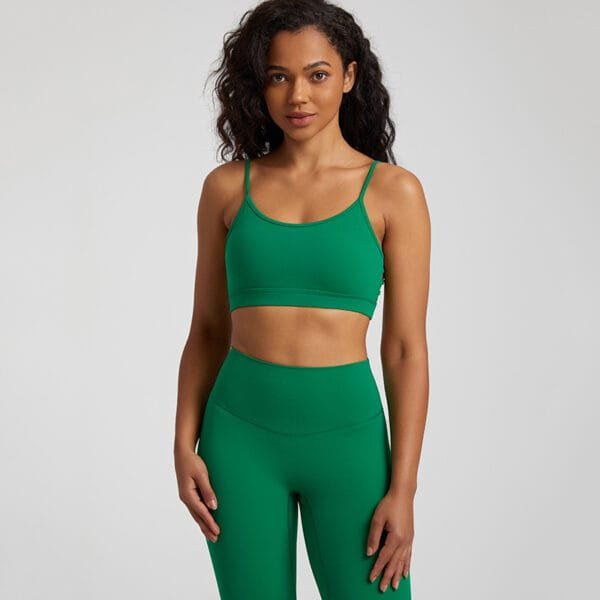 Guangzhou Manufacturing Customized Beautiful Butterfly Back Sexy Yoga Gym Fitness Sports Bra - Image 6
